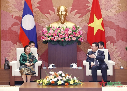 Chủ tịch Quốc hội Vương Đình Huệ tiếp Phó chủ tịch Quốc hội Lào